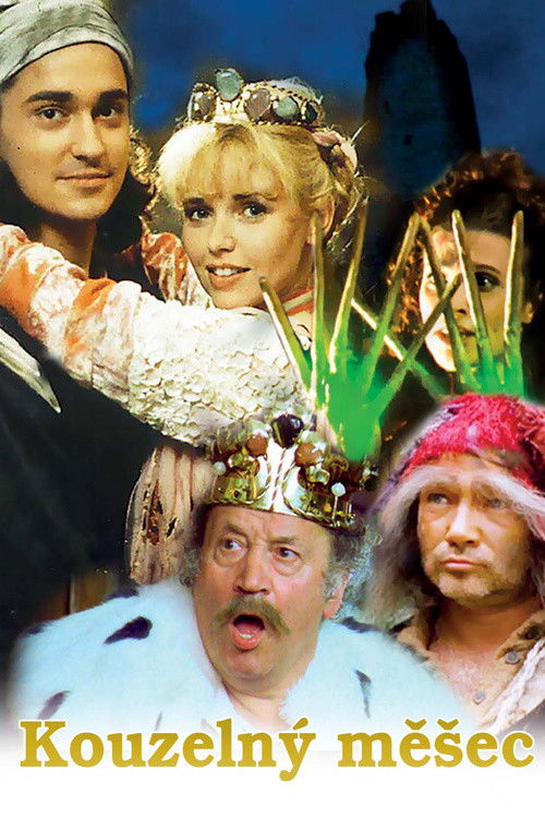 Kouzelný měšec (1996) poster