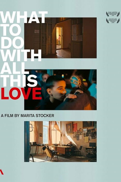What To Do With All This Love - The Zakaria Paliashvili Music School in Tbilisi (2019) poster