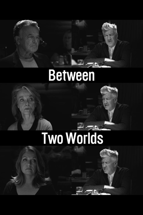 Between Two Worlds (2014) poster