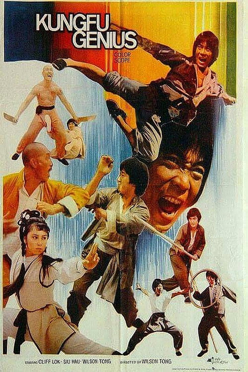 Kung Fu Genius (1979) poster