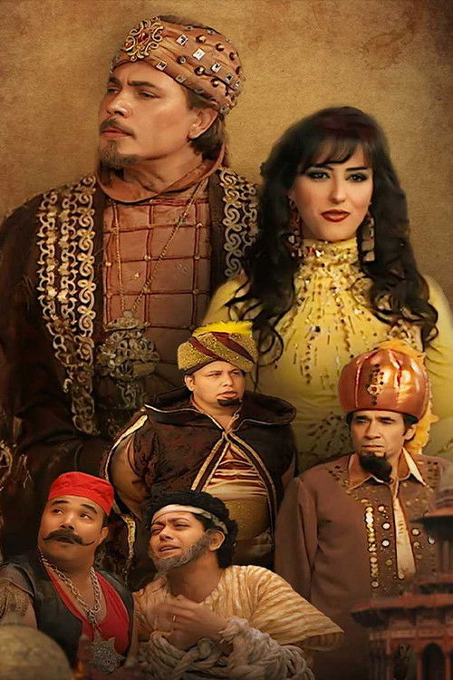 السلطان الحائر (2009) poster