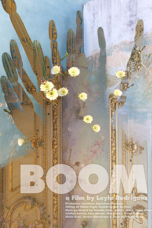 Boom poster