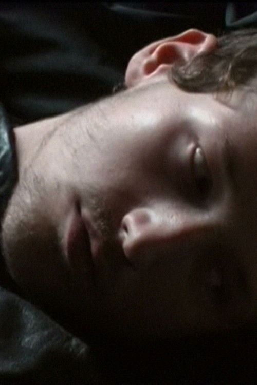 Compilation, 12 instants d'amour non partagé (2007) poster