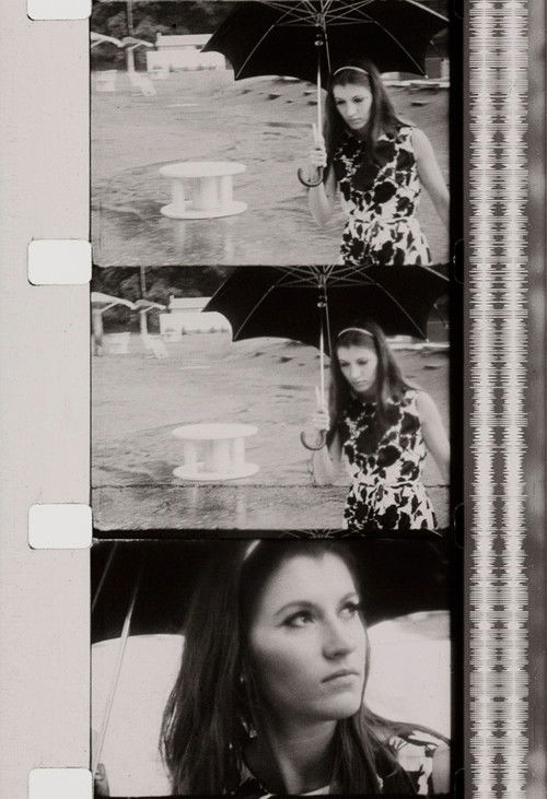 Pat's Birthday (1962) poster