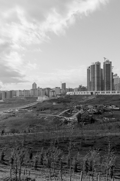 Letters from Silivri (2020) poster