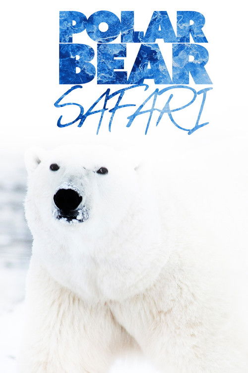 Polar Bear Safari (2000) poster