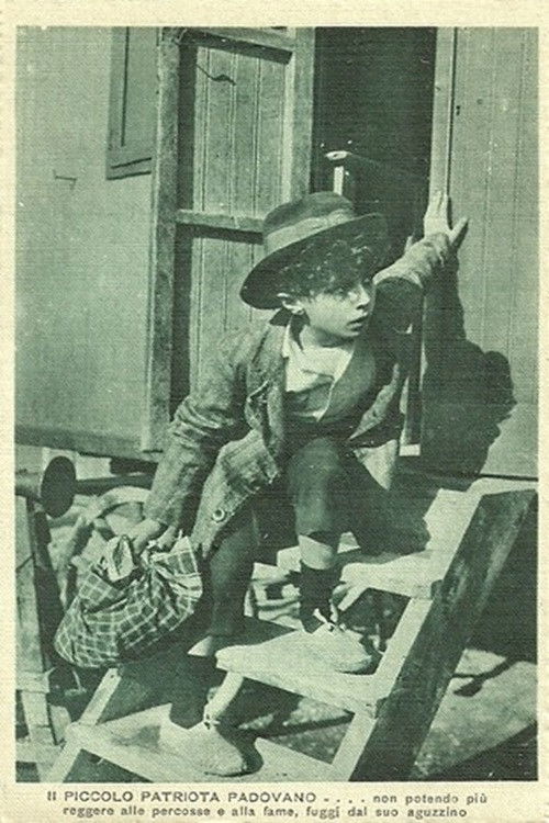 The Little Patriot from Padua (1915) poster