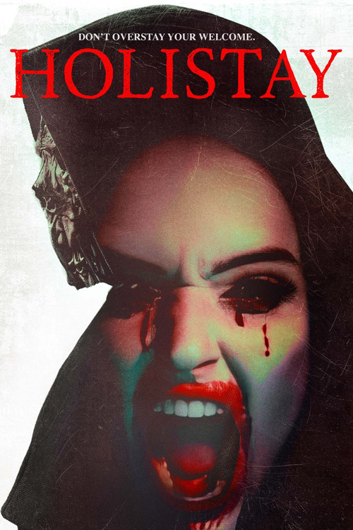 Holistay (2023) poster