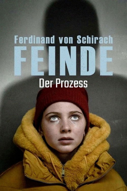 Ferdinand von Schirach: Feinde – Der Prozess (2021) poster