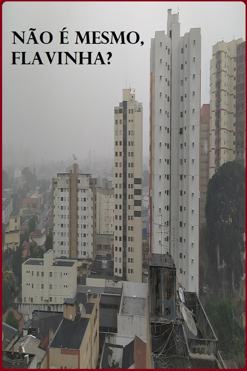 Não é mesmo, Flavinha? (2020) poster