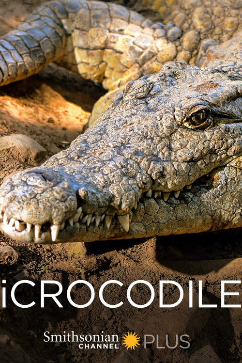 iCrocodile (2015) poster