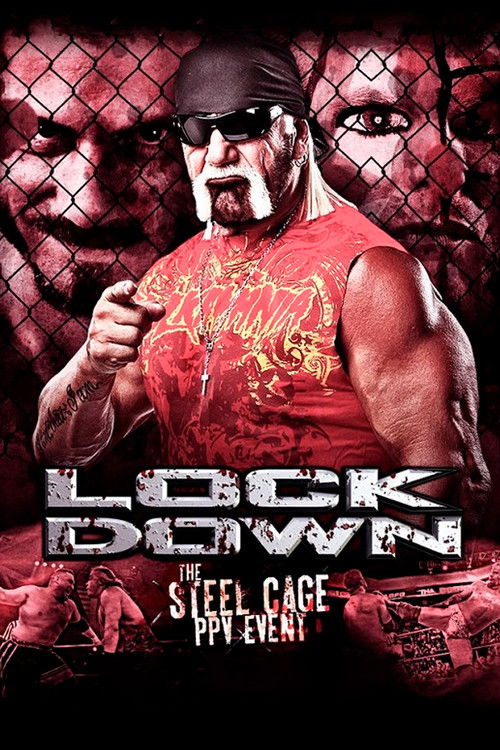 TNA Lockdown 2013 (2013) poster