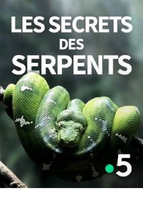 The Secrets of the Snakes (2016) poster