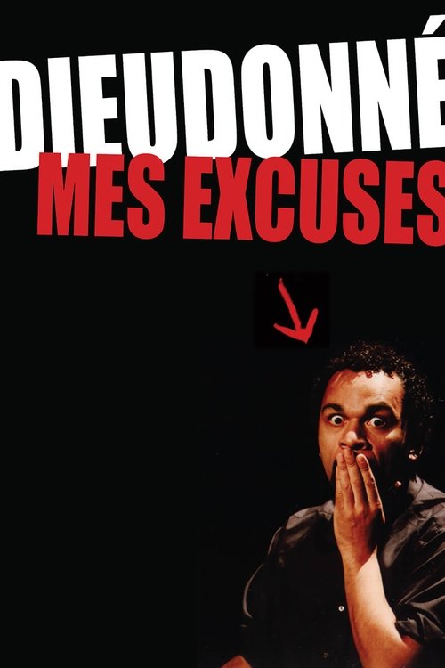 Dieudonné - Mes excuses (2005) poster