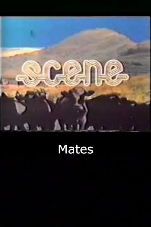 Mates (1971) poster