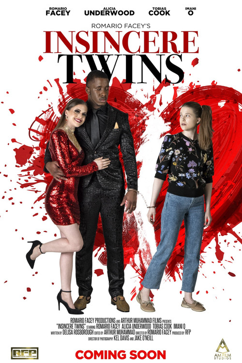 Insincere Twins (2019) poster