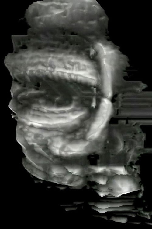 I Am Sad (2004) poster