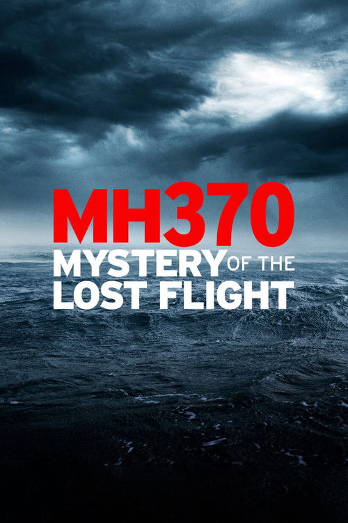 MH370: Mystery of the Lost Flight (2022) poster