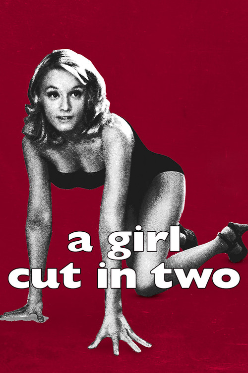 A Girl Cut in Two (2007) poster