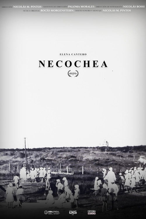 Necochea (2020) poster