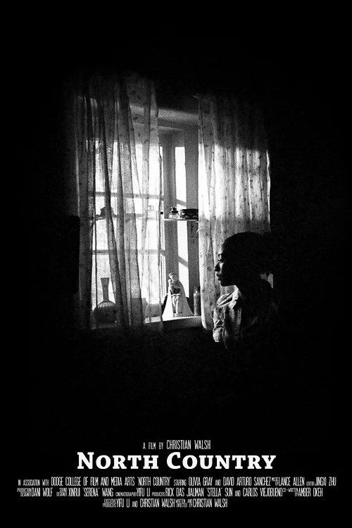 North Country (2023) poster