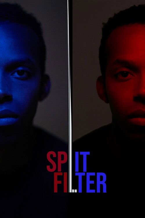 Split|Filter (2020) poster