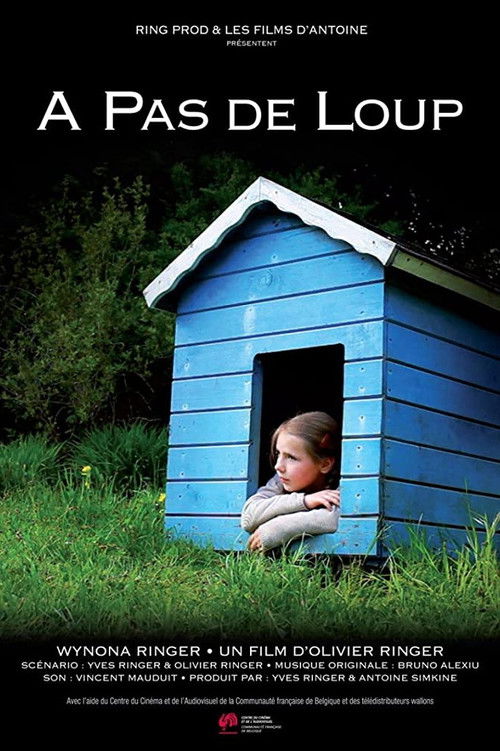 On the Sly (2011) poster