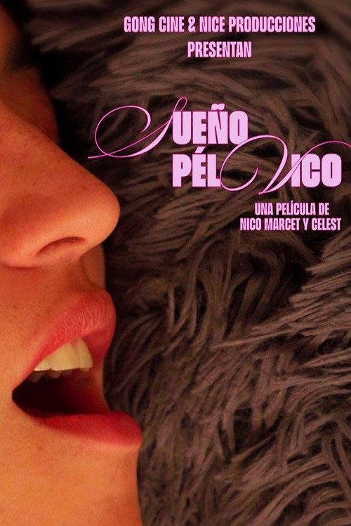 Sueño pélvico (2026) poster