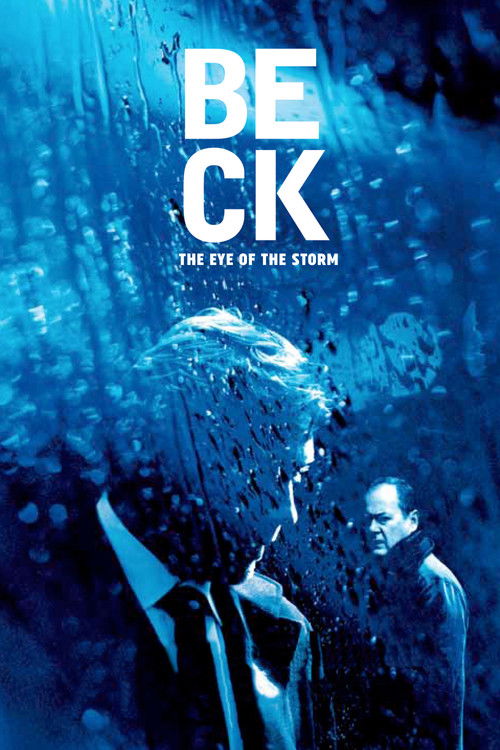 Beck 25 - I stormens öga (2009) poster