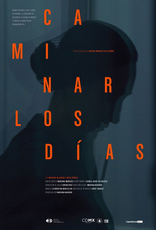 And The Days Never Stop Walking poster