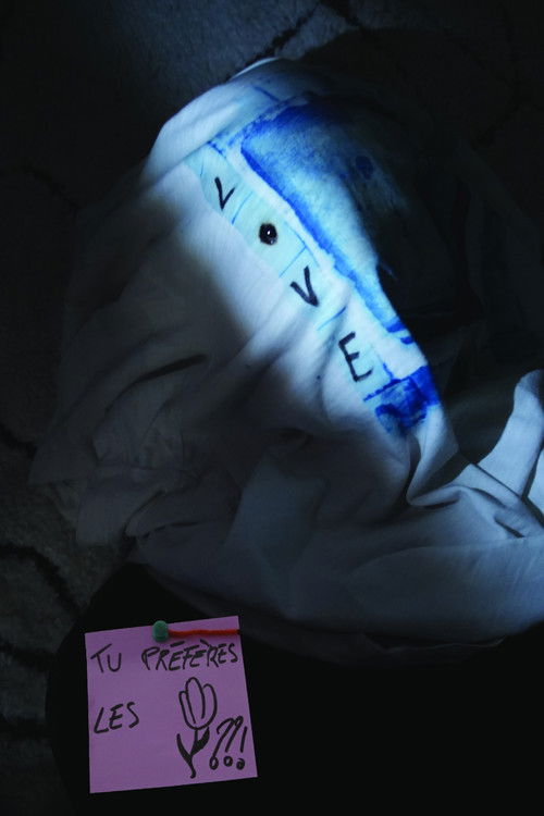 tu préfères les tulipes ??! (2025) poster