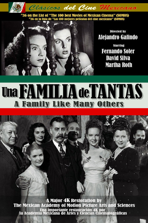 Una familia de tantas (1949) poster