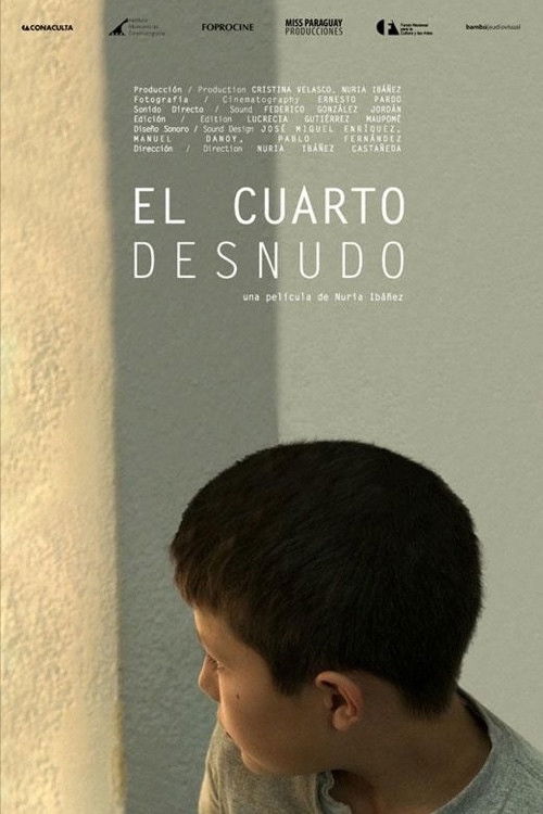 El cuarto desnudo (2013) poster