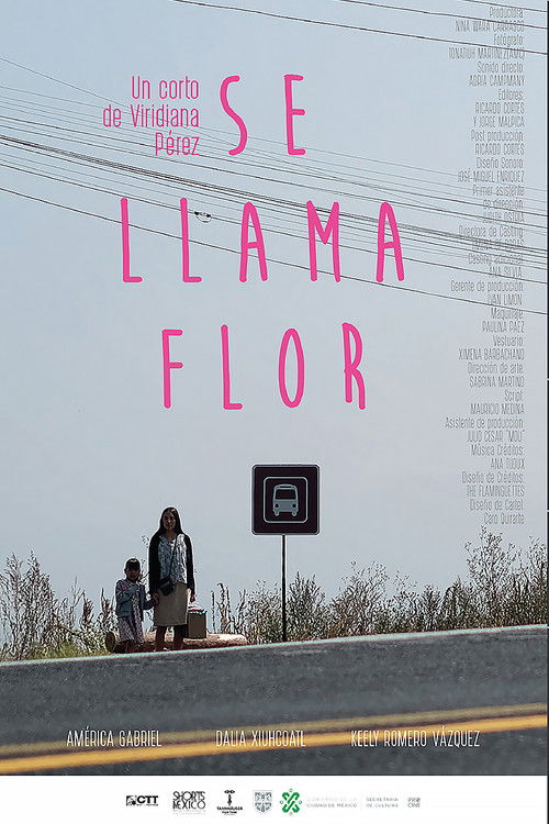 Her Name Is Flor (2021) poster