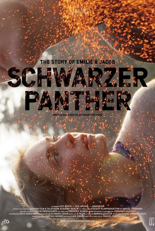 Schwarzer Panther (2013) poster