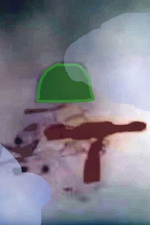 Homomania (1962) poster