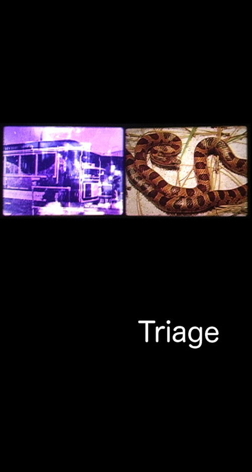 Triage (2004) poster
