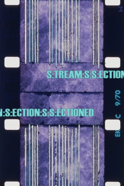 S:TREAM:S:S:ECTION:S:ECTION:S:S:ECTIONED (1971) poster