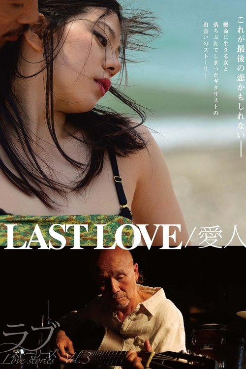 Last Love (2014) poster