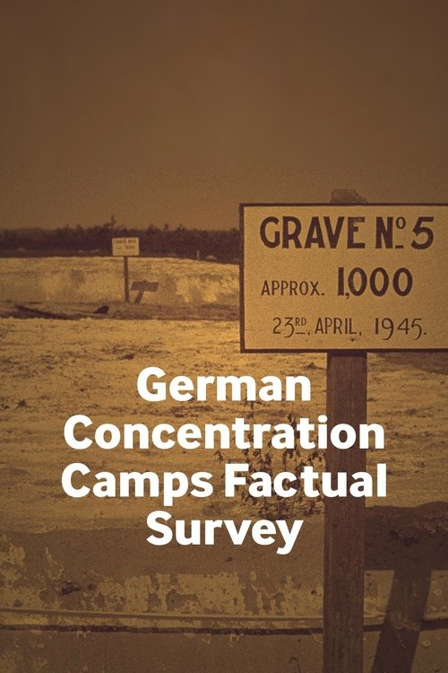 German Concentration Camps Factual Survey (2017) poster