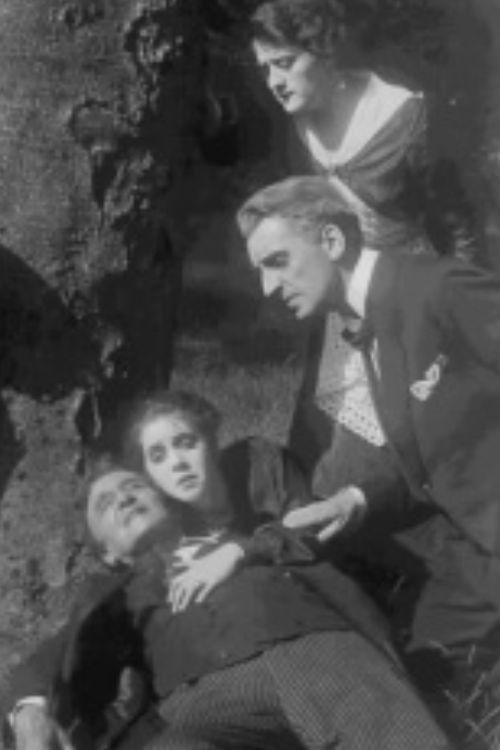 Pro Domo (1918) poster