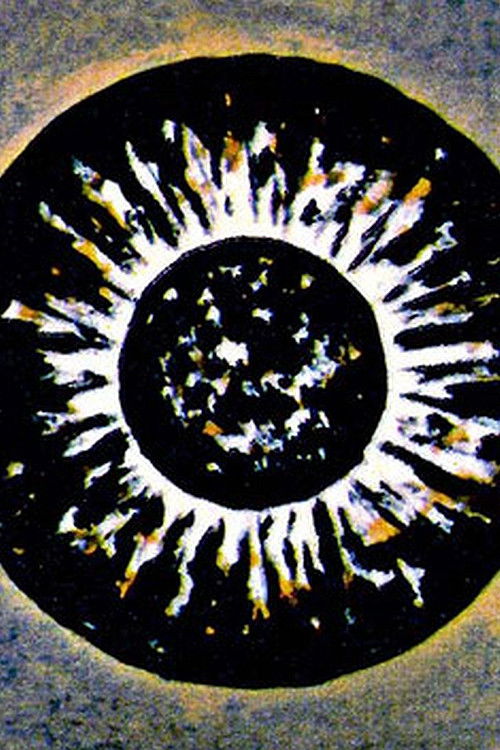 Metamorphose Works No.1 (1984) poster