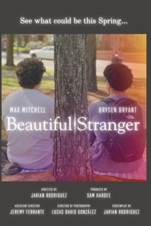 Beautiful Stranger (2025) poster