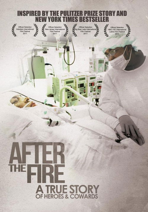 After the Fire (2011) poster