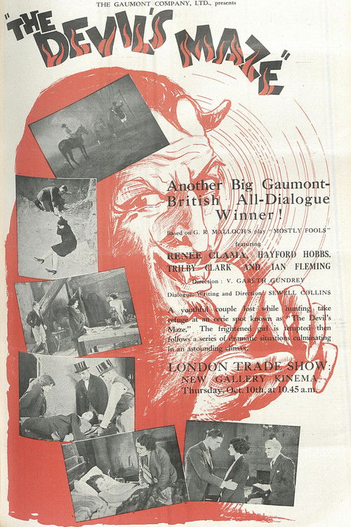 The Devil's Maze (1929) poster