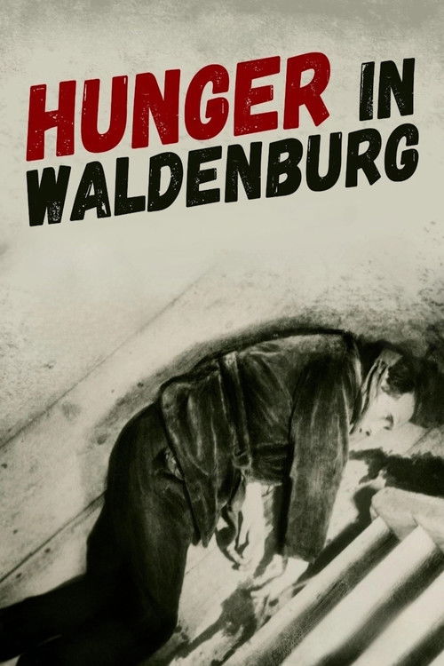 Hunger in Waldenburg (1929) poster