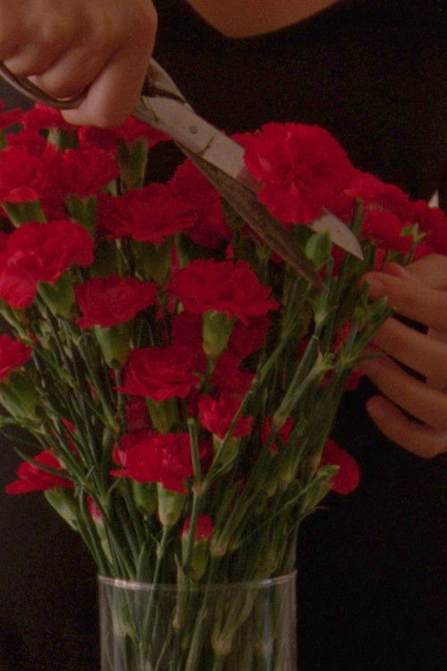 Flowers Blooming In Our Throats (2020) poster