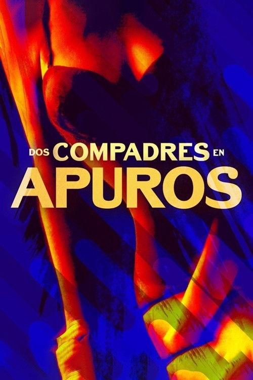 Dos compadres en apuros (2015) poster
