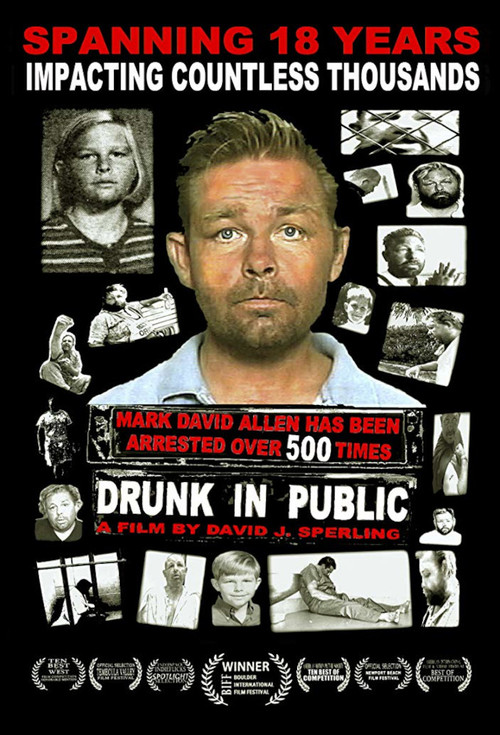 Drunk in Public (2012) poster