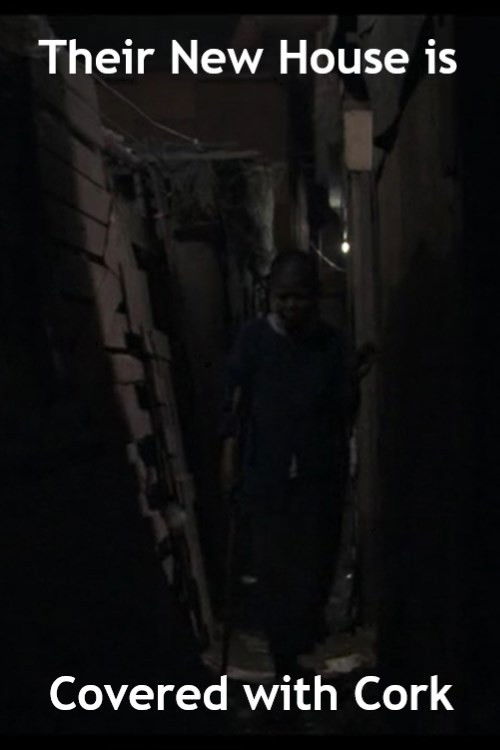 Their New House Is Covered With Cork (2013) poster